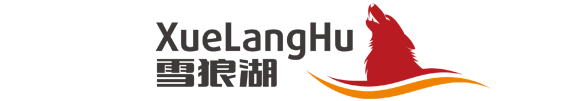 常州雪狼湖计算机科技有限公司